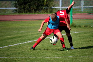 1xBit体育app-山东泰山队员表现抢眼夺得胜利